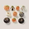Lenox Mini Pumpkin 10 Piece Ornament Set -Lenox The Christmas Shop Sales 889140 w10